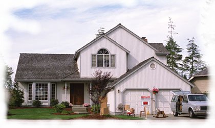 inspect for mold in attic, mold in bathrooms, mold in kitchen and basements
